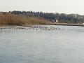 IMG_20170125_154352