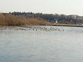 IMG_20170125_154353