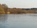 IMG_20170125_154500