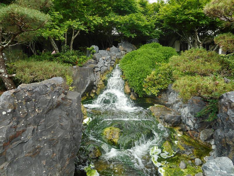 DSCN0354.JPG