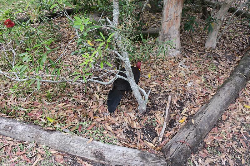 IMG_1096.JPG