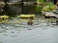DSCN0349