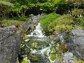 DSCN0355