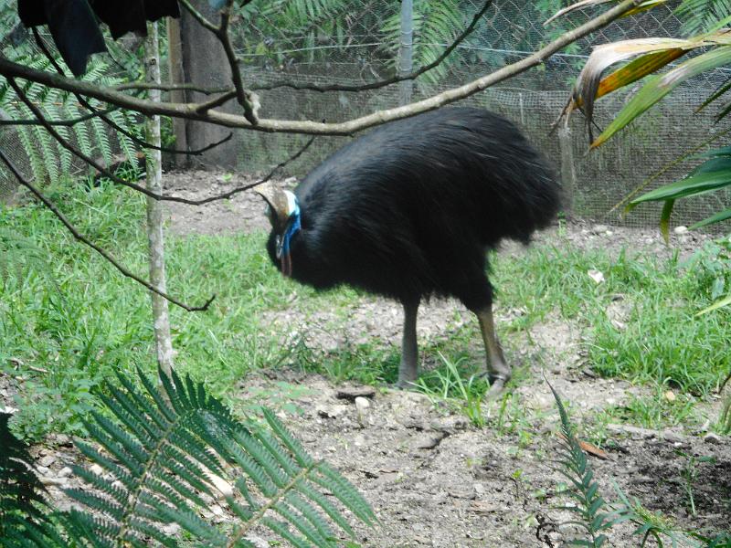 DSCN0409.JPG