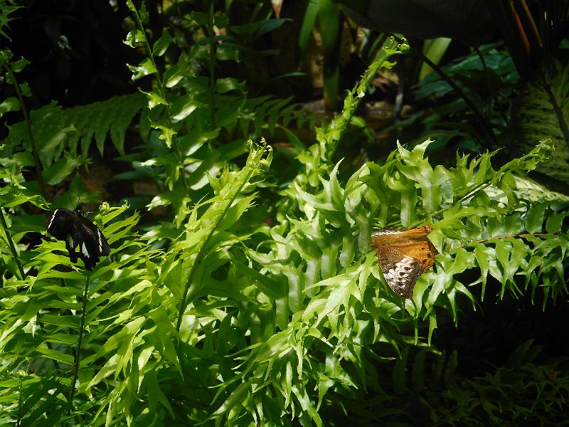 DSCN0430.JPG