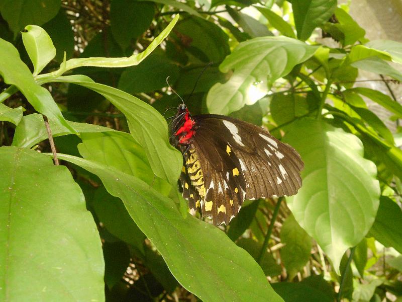 DSCN0431.JPG