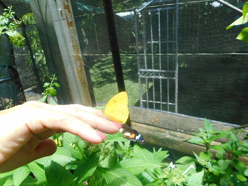 DSCN0439.JPG