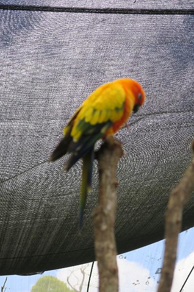 IMG_1256.JPG