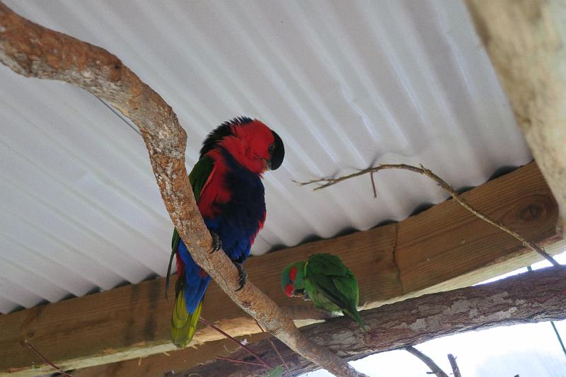 IMG_1268.JPG