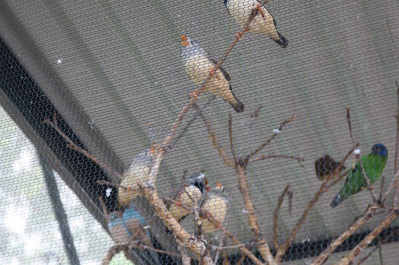 IMG_1286.JPG