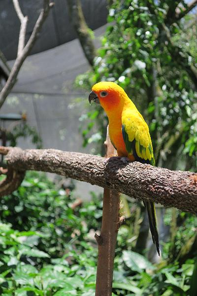 IMG_1328.JPG