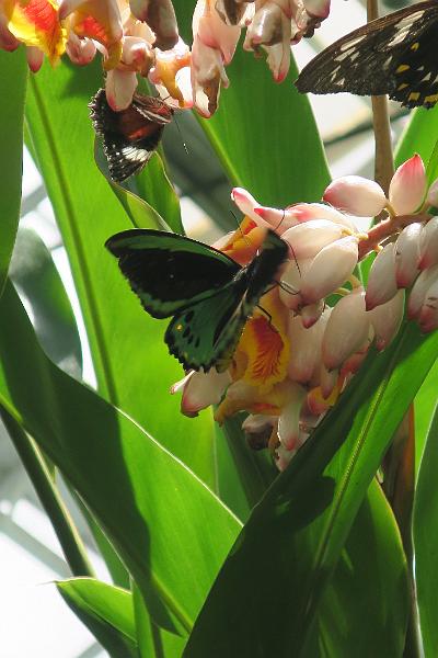 IMG_1357.JPG