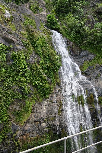 IMG_1529.JPG
