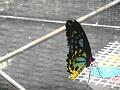 DSCN0422