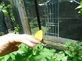 DSCN0439