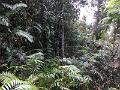 IMG_0707