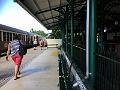 IMG_0756
