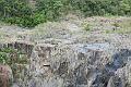 IMG_1221