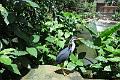 IMG_1326
