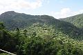 IMG_1537