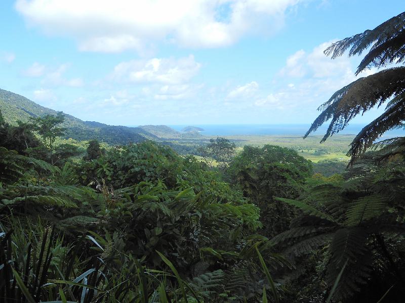 DSCN0485.JPG