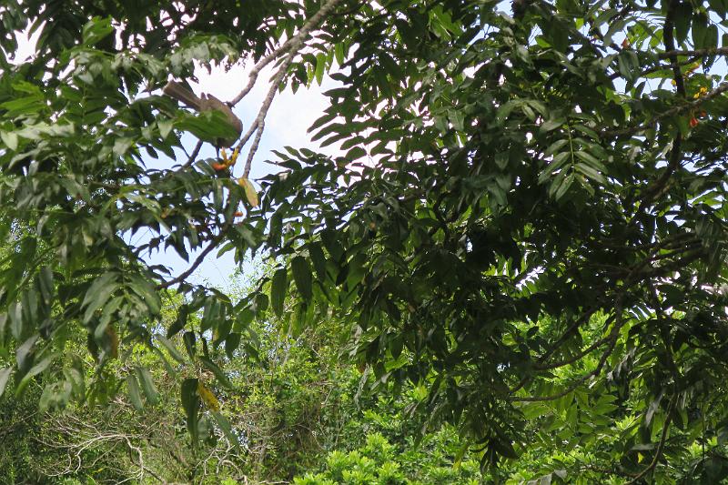 IMG_1590.JPG