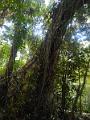 DSCN0469