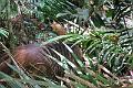 IMG_1609