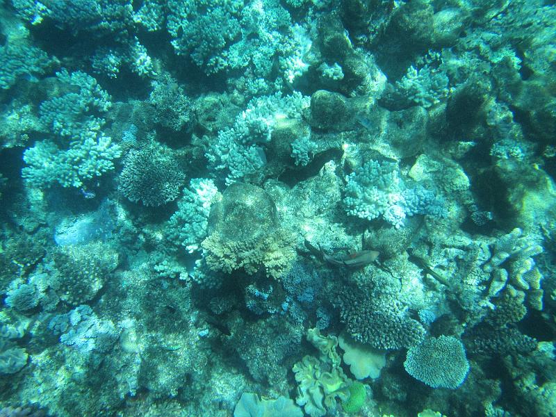 IMG_2972.JPG