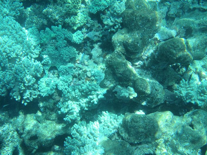 IMG_2973.JPG