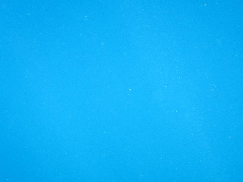 IMG_2974.JPG