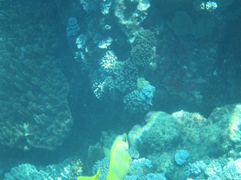 IMG_2976.JPG