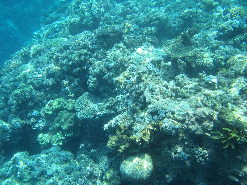 IMG_2982.JPG