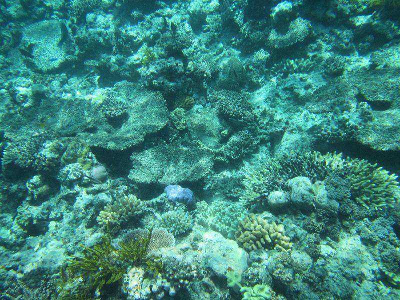 IMG_2984.JPG