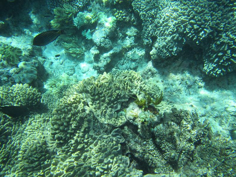 IMG_2990.JPG