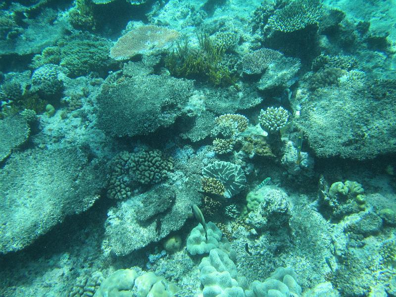 IMG_2992.JPG