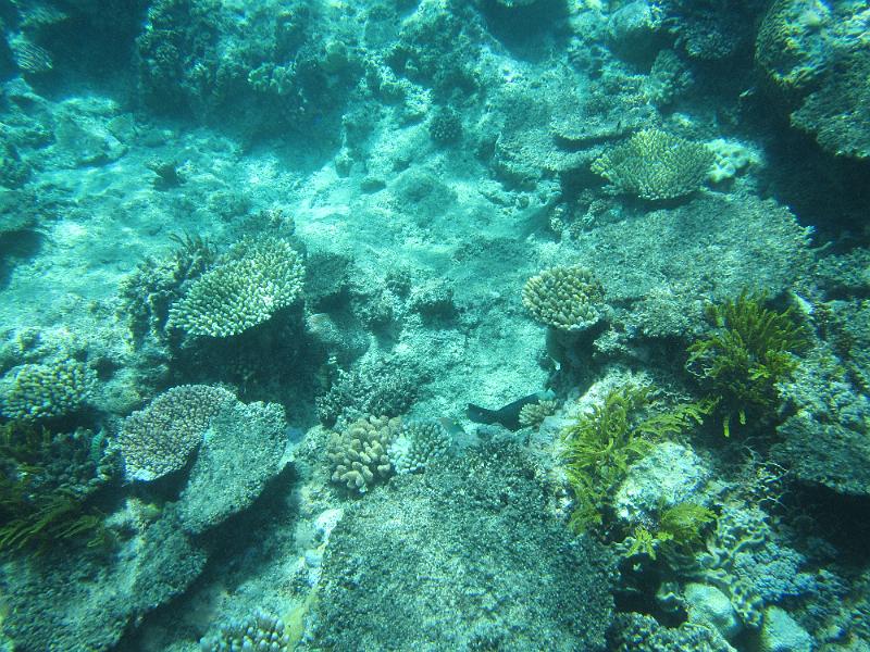 IMG_2993.JPG