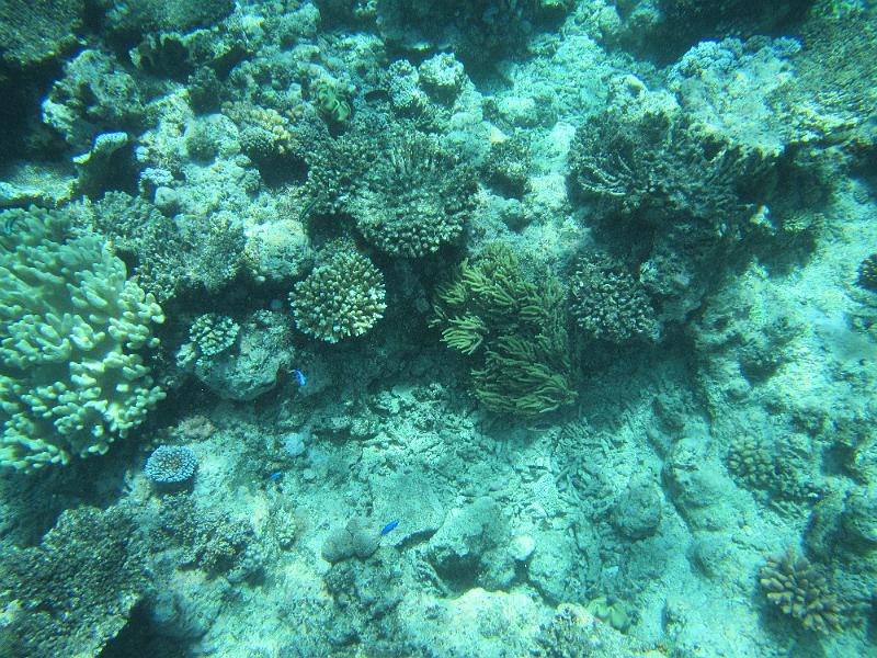 IMG_2995.JPG