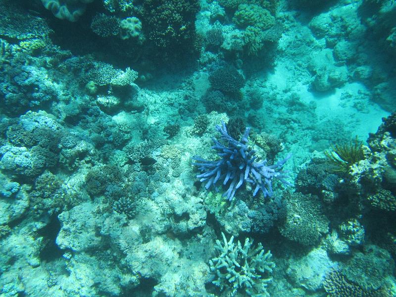 IMG_2996.JPG