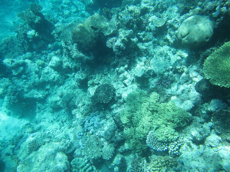 IMG_2998.JPG