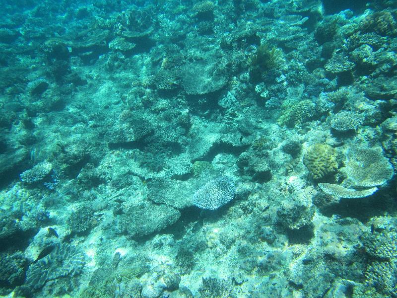 IMG_3000.JPG