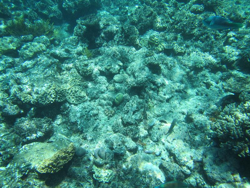 IMG_3001.JPG