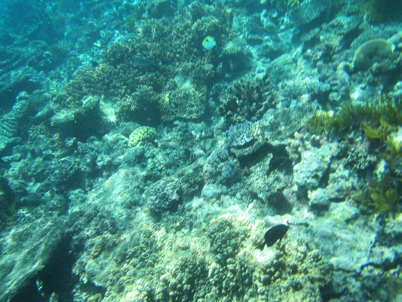IMG_3003.JPG