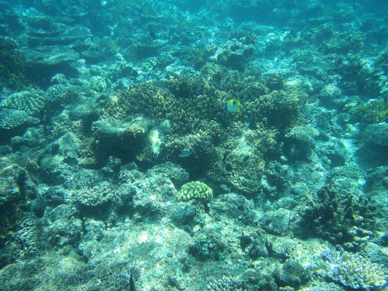 IMG_3004.JPG