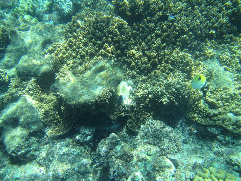 IMG_3006.JPG
