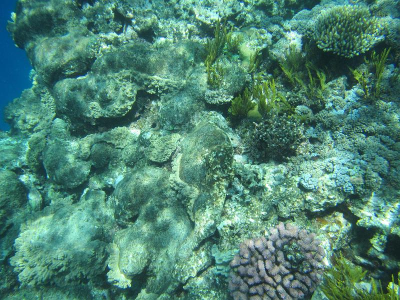 IMG_3010.JPG