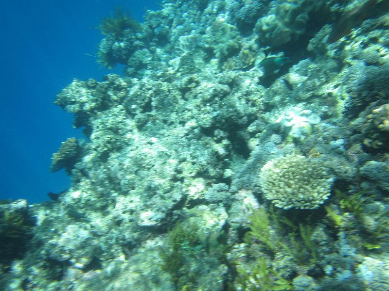 IMG_3011.JPG