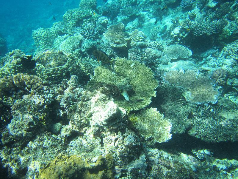 IMG_3020.JPG
