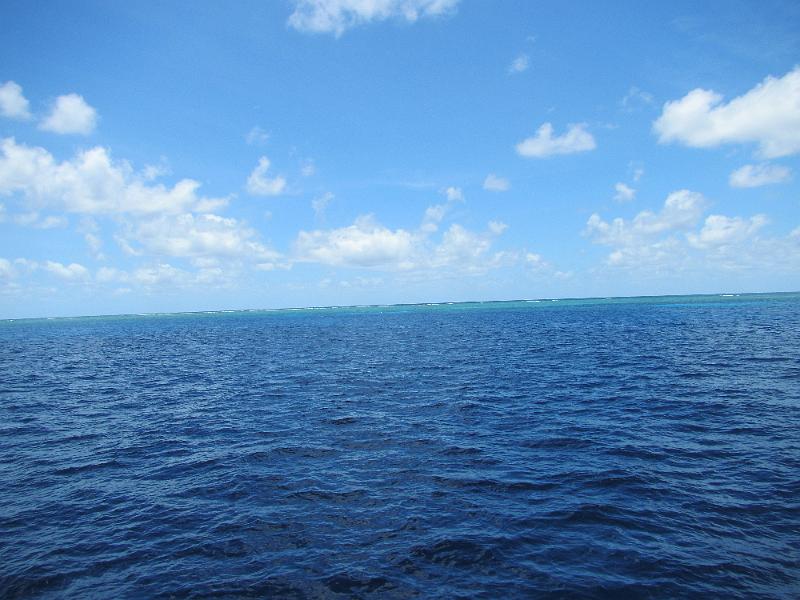 IMG_3026.JPG