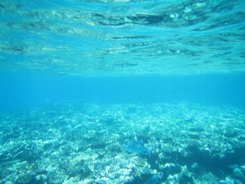 IMG_3037.JPG